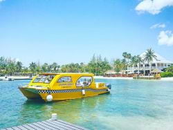 Taxi driver, please drop me off at Grand Cayman